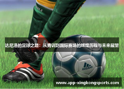 达尼洛的足球之路：从青训到国际赛场的辉煌历程与未来展望